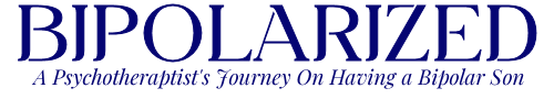 Bipolarized: A Psychotherapist's Journey on Having a Bipolar Son